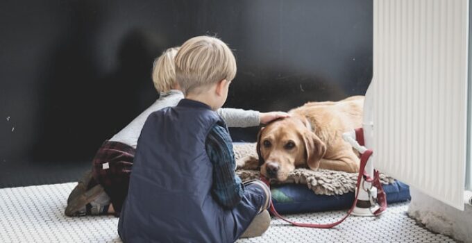 enfants aiment animaux